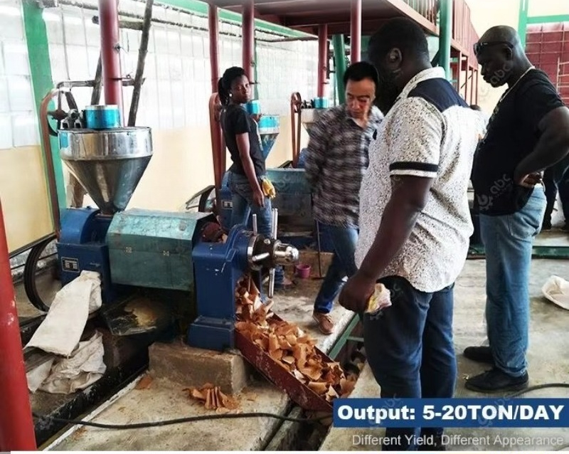 Quality Assurance Cooking Sunf - Castor Oil Cold Press ulasan dan harga